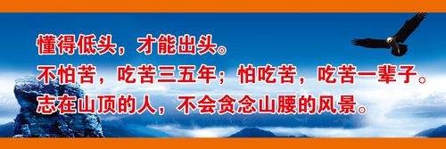 南京二手装载雷火竞技机市场(南京二手装载机交易市场)